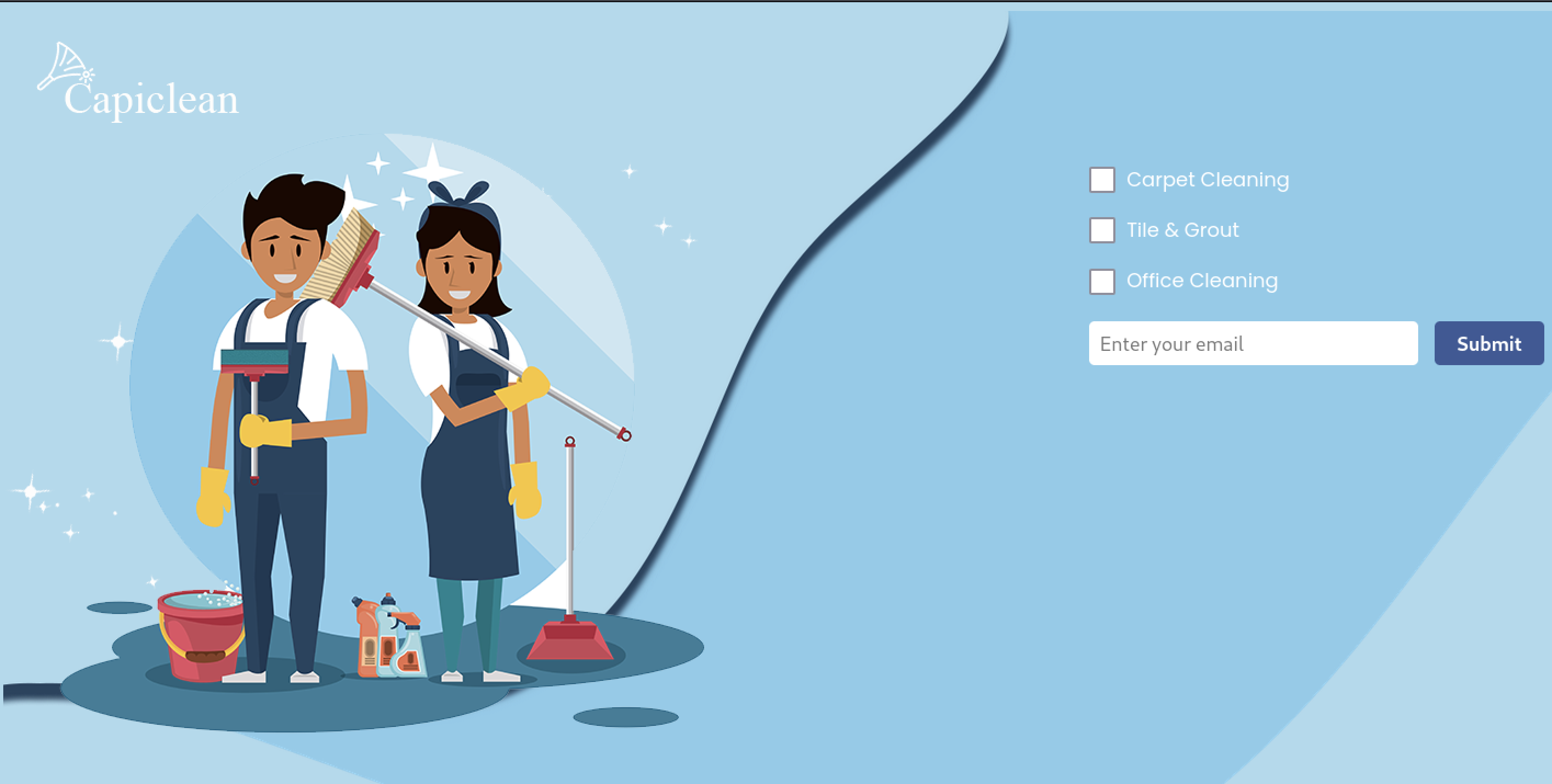 The page includes three checkboxes labeled "Carpet Cleaning", "Tile & Grout", and "Office Cleaning" and a form for email address to be submitted